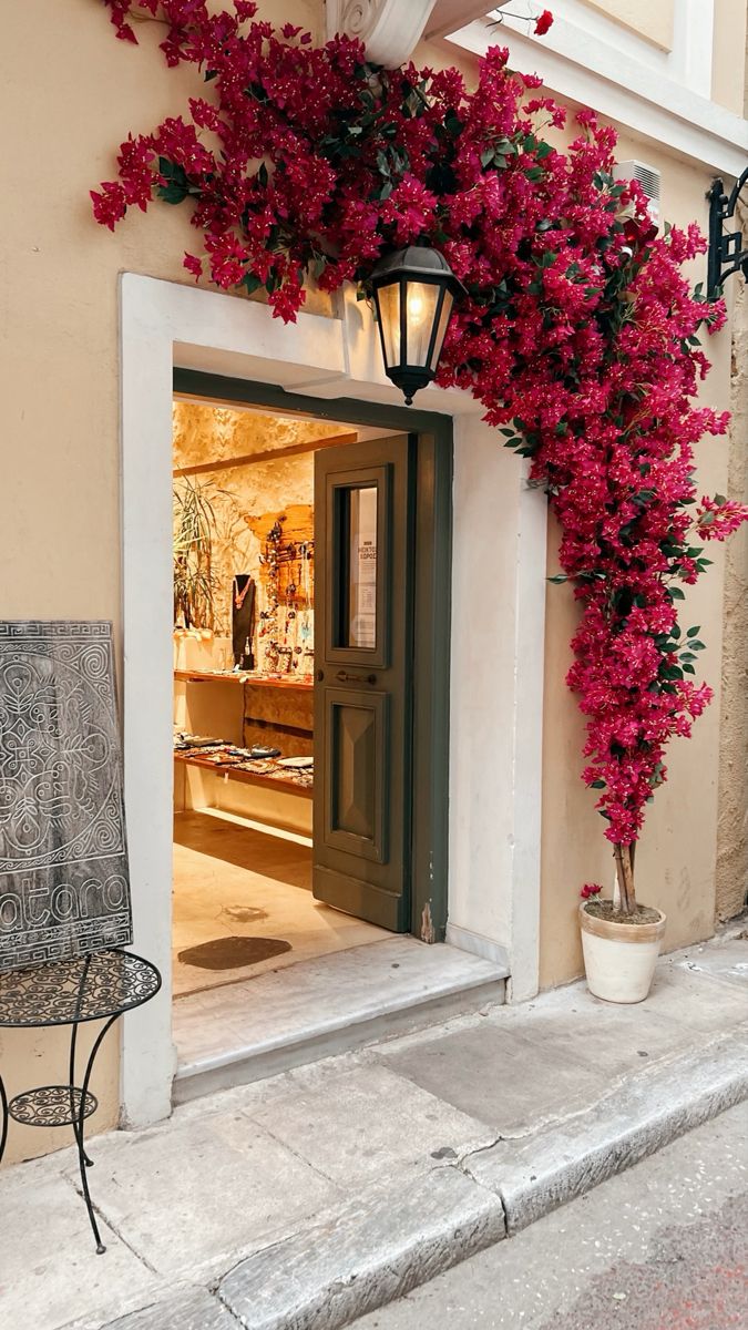 Elegant Climbing Rose Flower Seeds